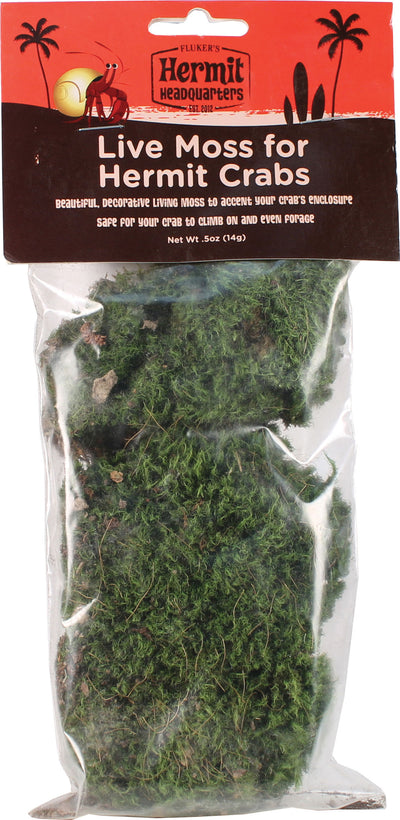 Hermit Headquarters Live Moss For Hermit Crabs