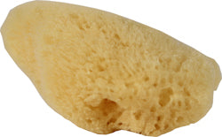 Hermit Headquarters Hermit Crab Natural Sea Sponge