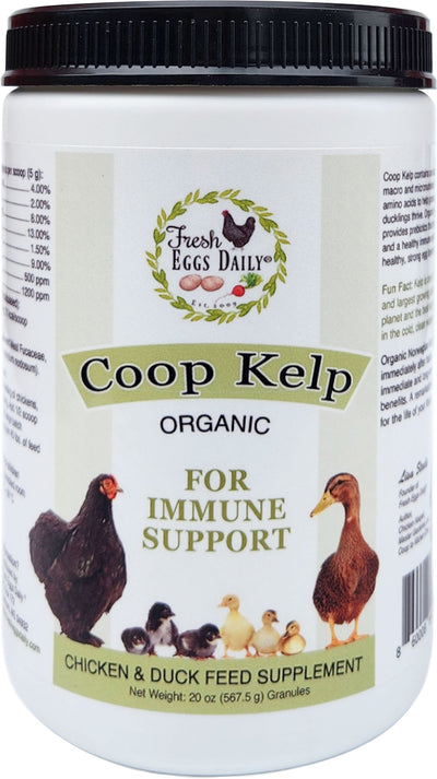 Organic Coop Kelp For Immune Support