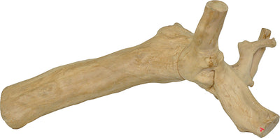 Java Wood Reptile Branch