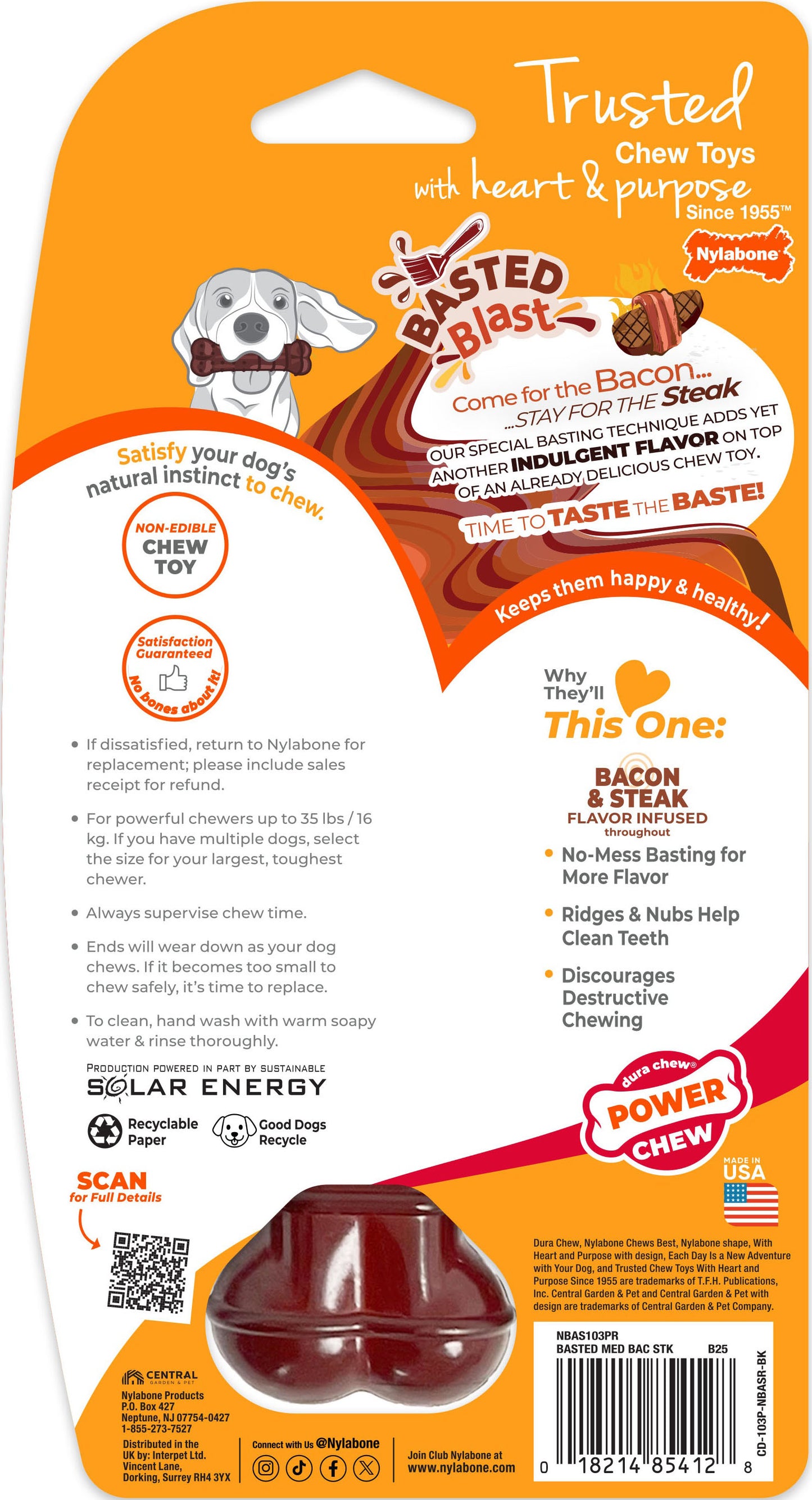 Nylabone Power Chew Basted Blast