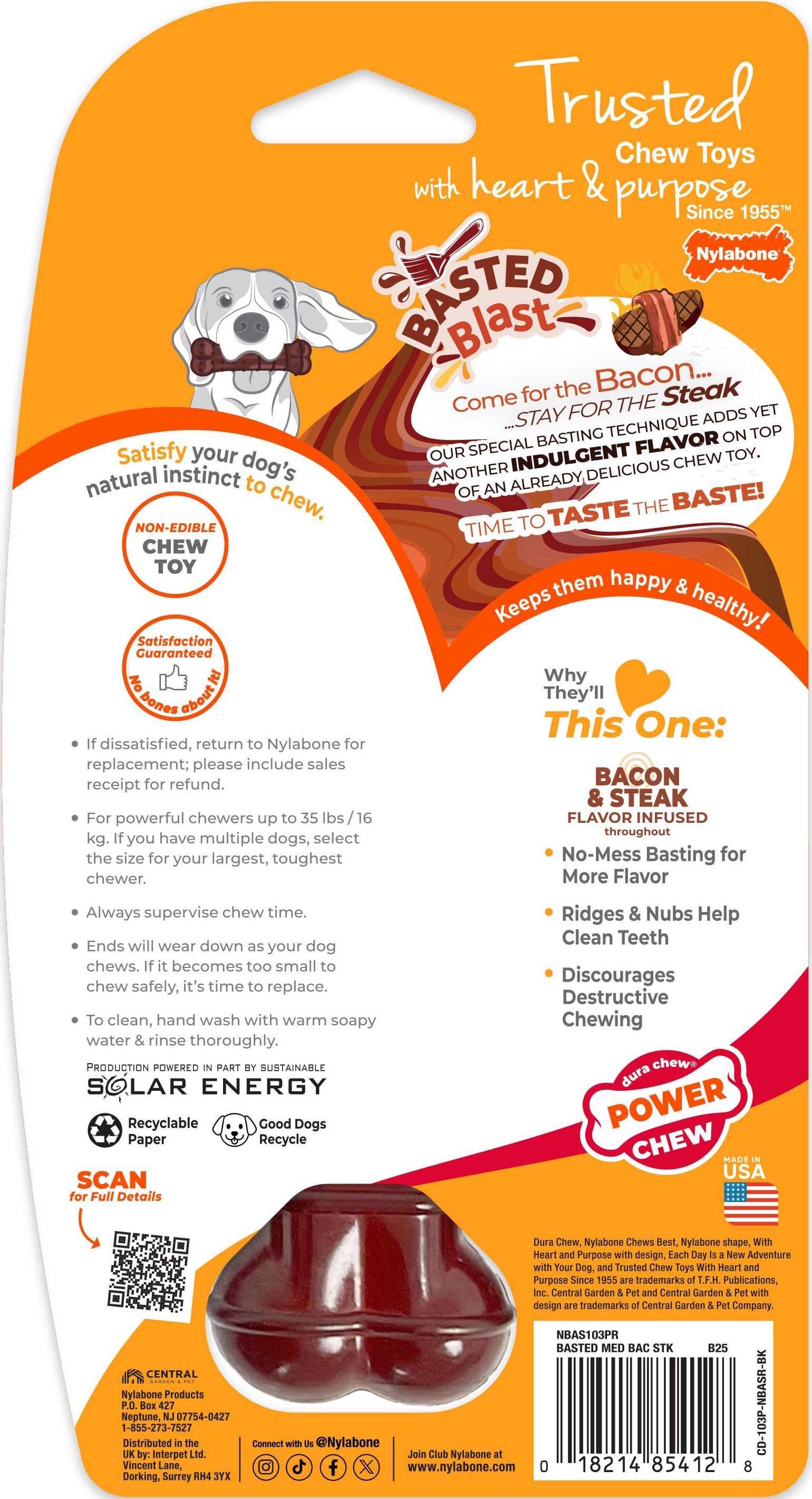 Nylabone Power Chew Basted Blast