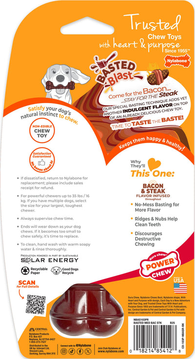 Nylabone Power Chew Basted Blast