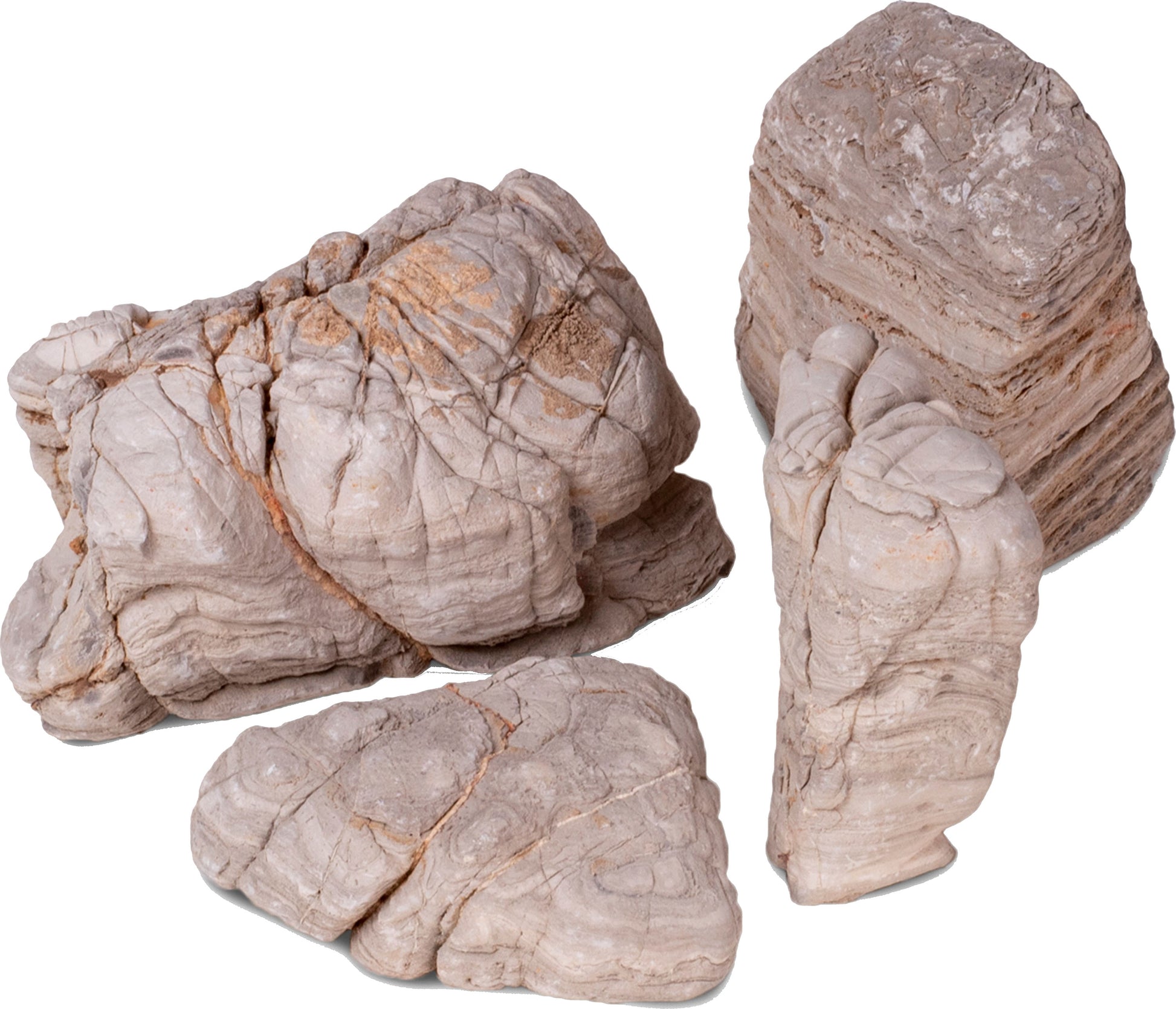 Caribsea Rock Exotica Elephant Skin Rock