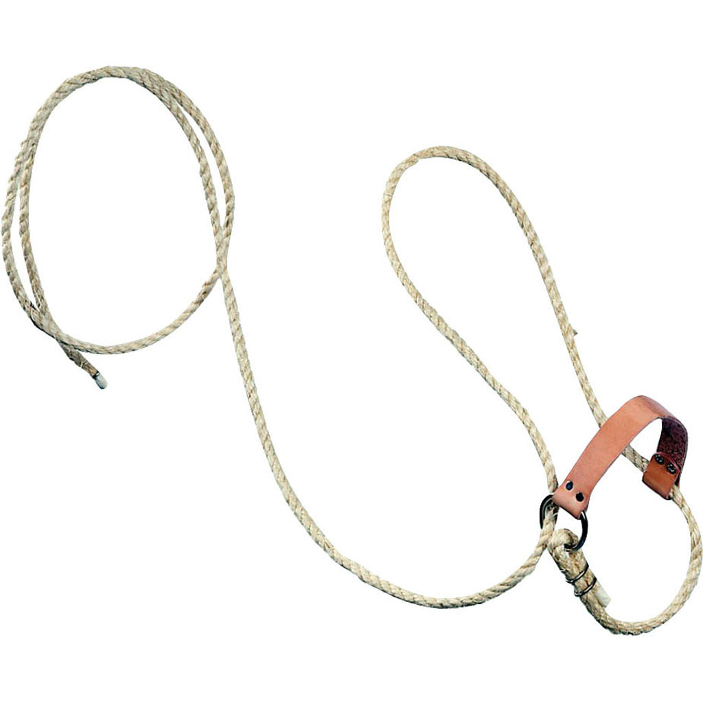 Beiler'S Halter W/Lead And Leather Nose Strap
