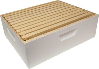 Medium Box Painted W/ 10 Frames & Foundation