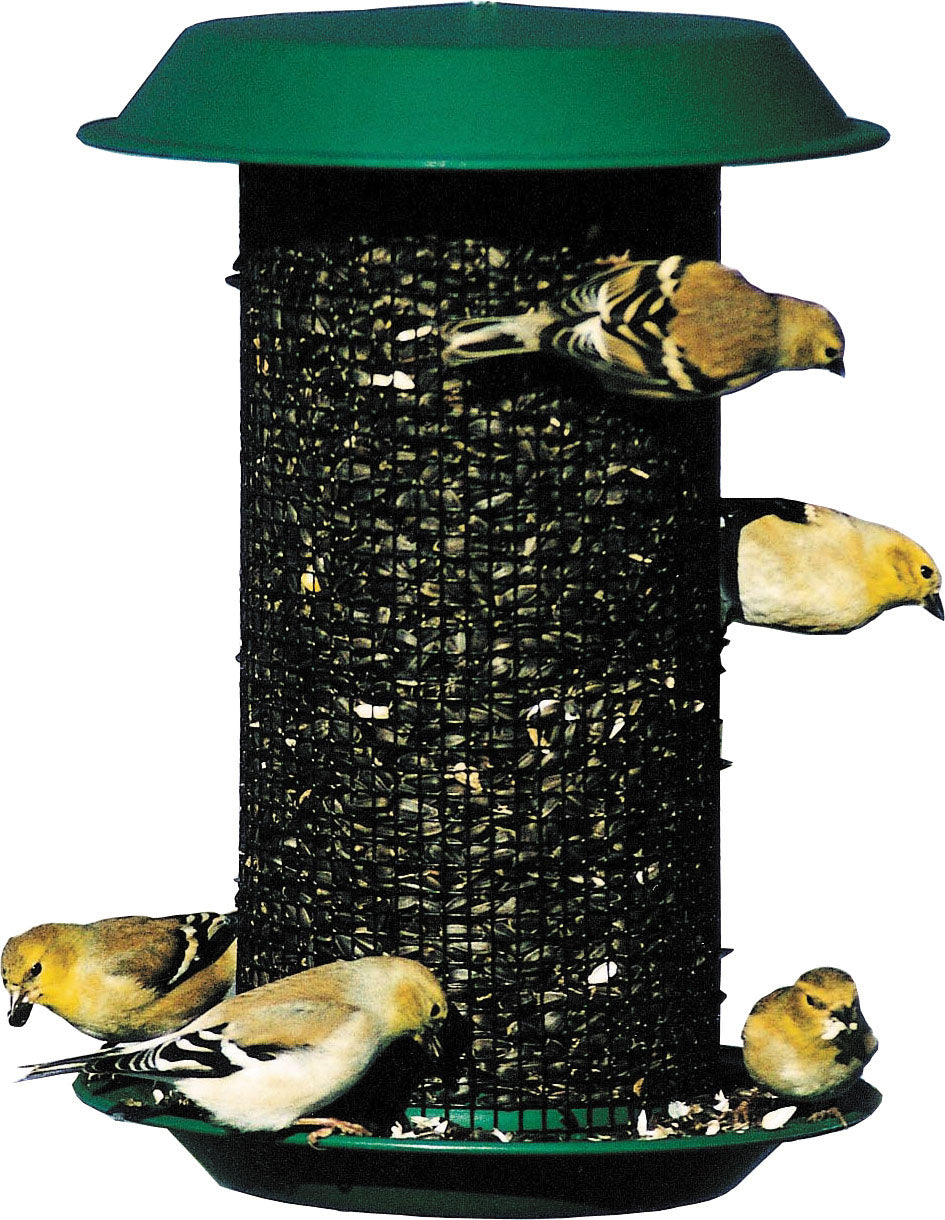 Magnum Plastic Sunflower Screen Feeder