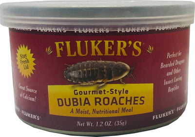 Gourmet-Style Canned Dubia Roaches