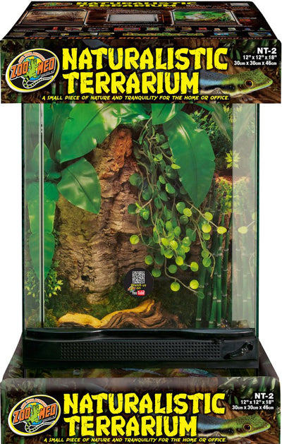 Naturalistic Terrarium