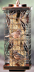 Squirrel-Resistant Caged Tube Feeder