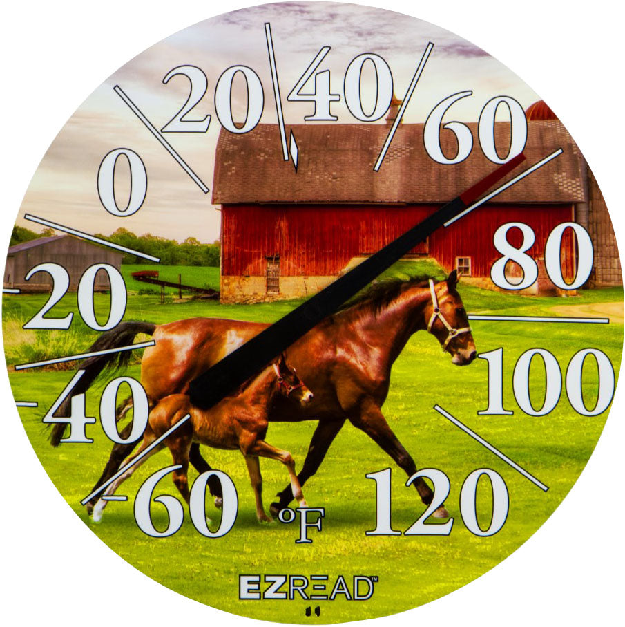 Ezread Indoor/Outdoor Dial Thermometer