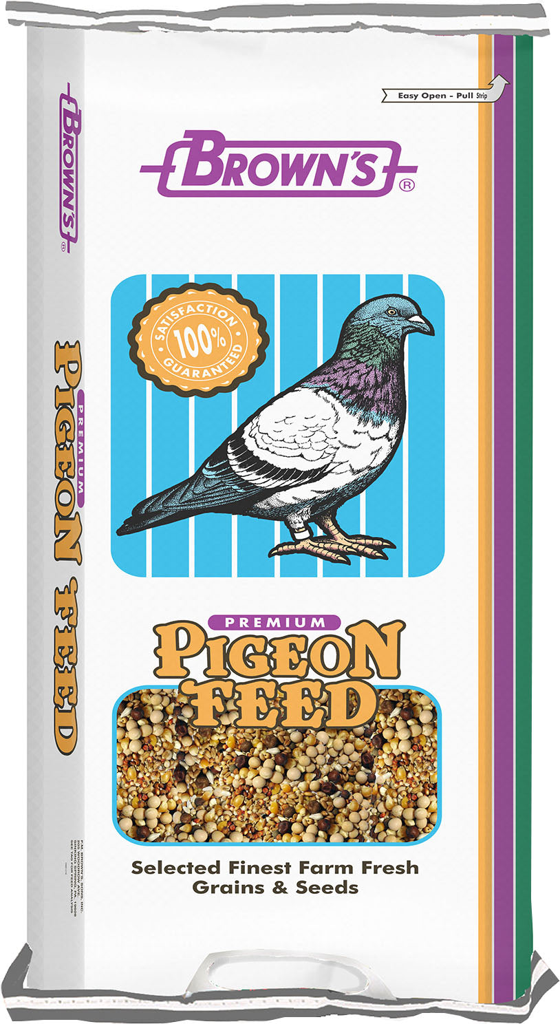 Developer Popcorn Pigeon Food