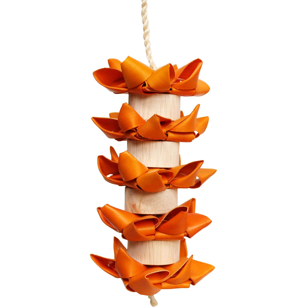 Hot Flames Bird Toy