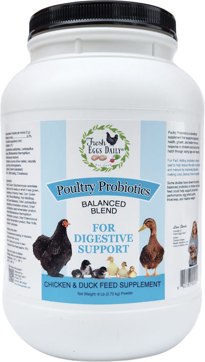 Poultry Probiotics For Digestive Support
