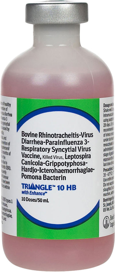 Triangle Hb 10