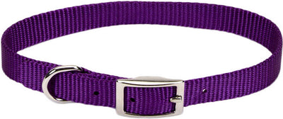 Single Ply Dog Collar