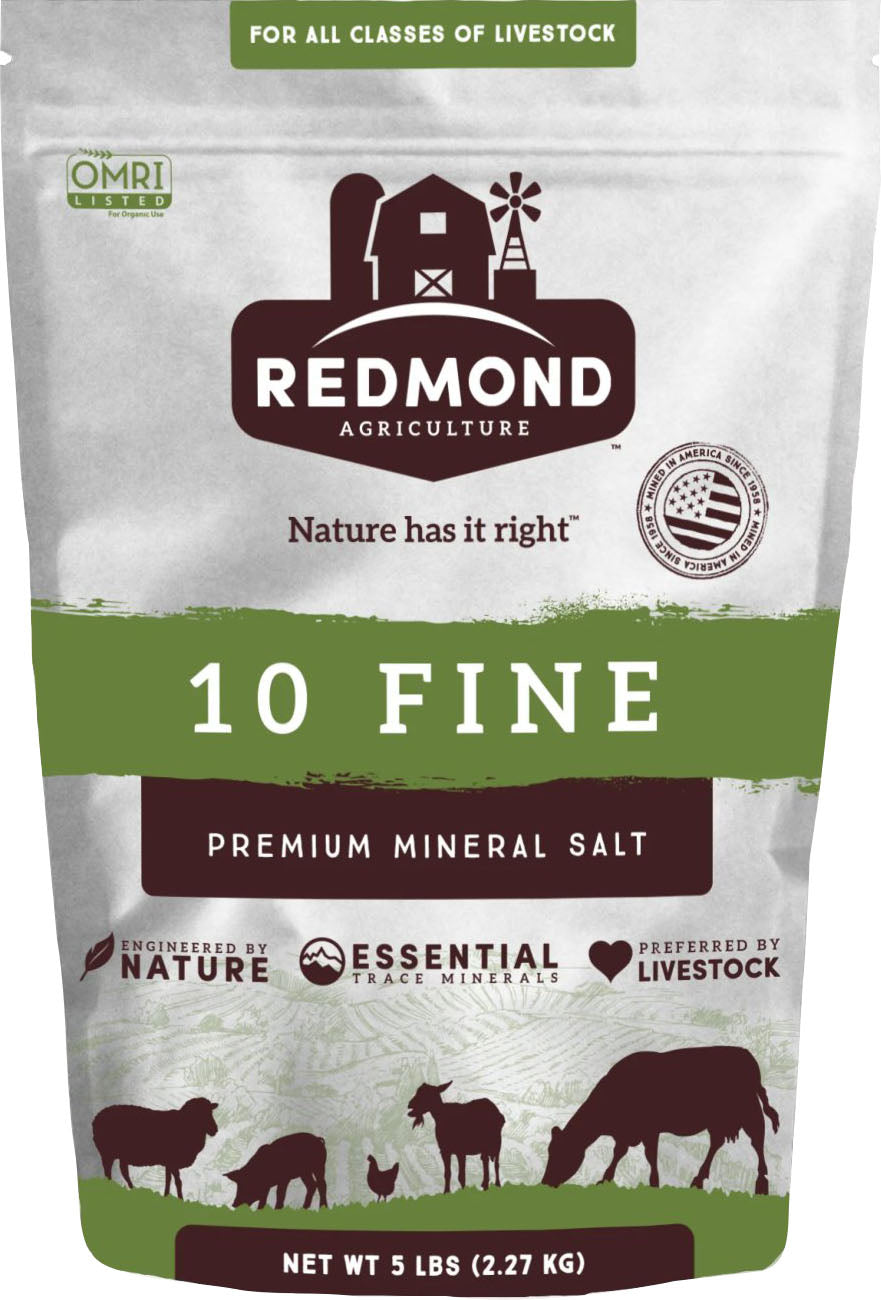 Redmond 10 Fine Mineral Salt
