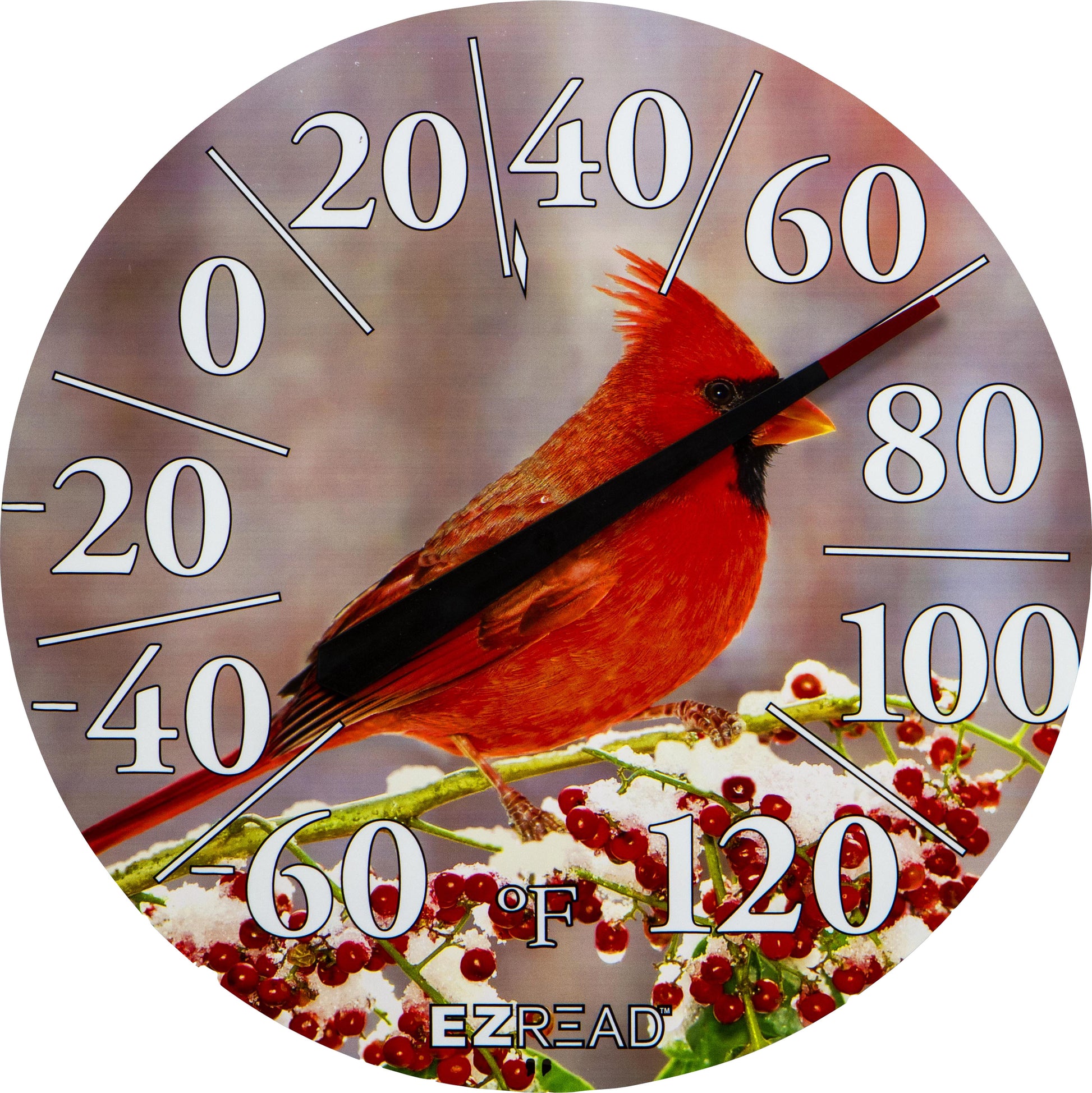 Ezread Indoor/Outdoor Dial Thermometer