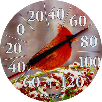 Ezread Indoor/Outdoor Dial Thermometer