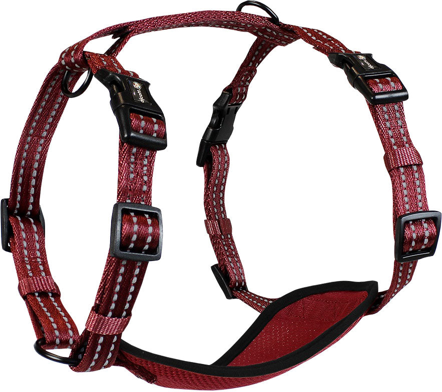 Alcott Adventure Harness