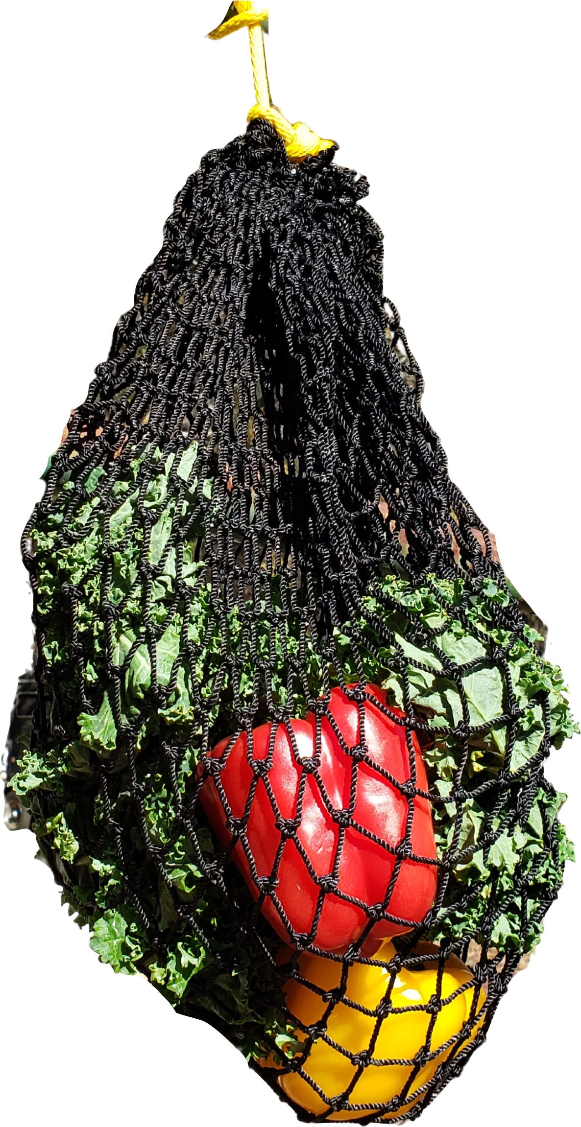 Texas Haynet Chicken Treat Bag