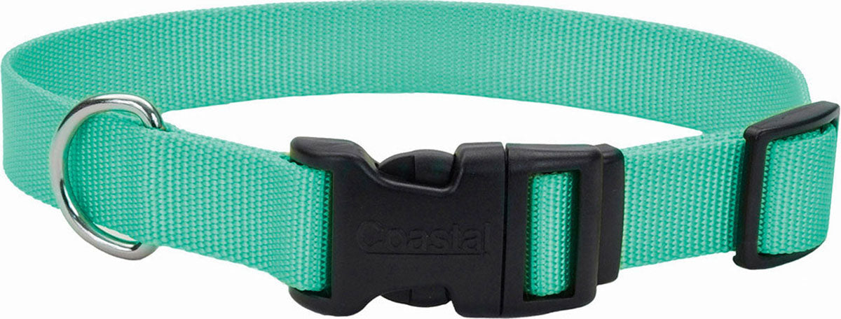 Adjustable Dog Collar W/ Plastic Buckle