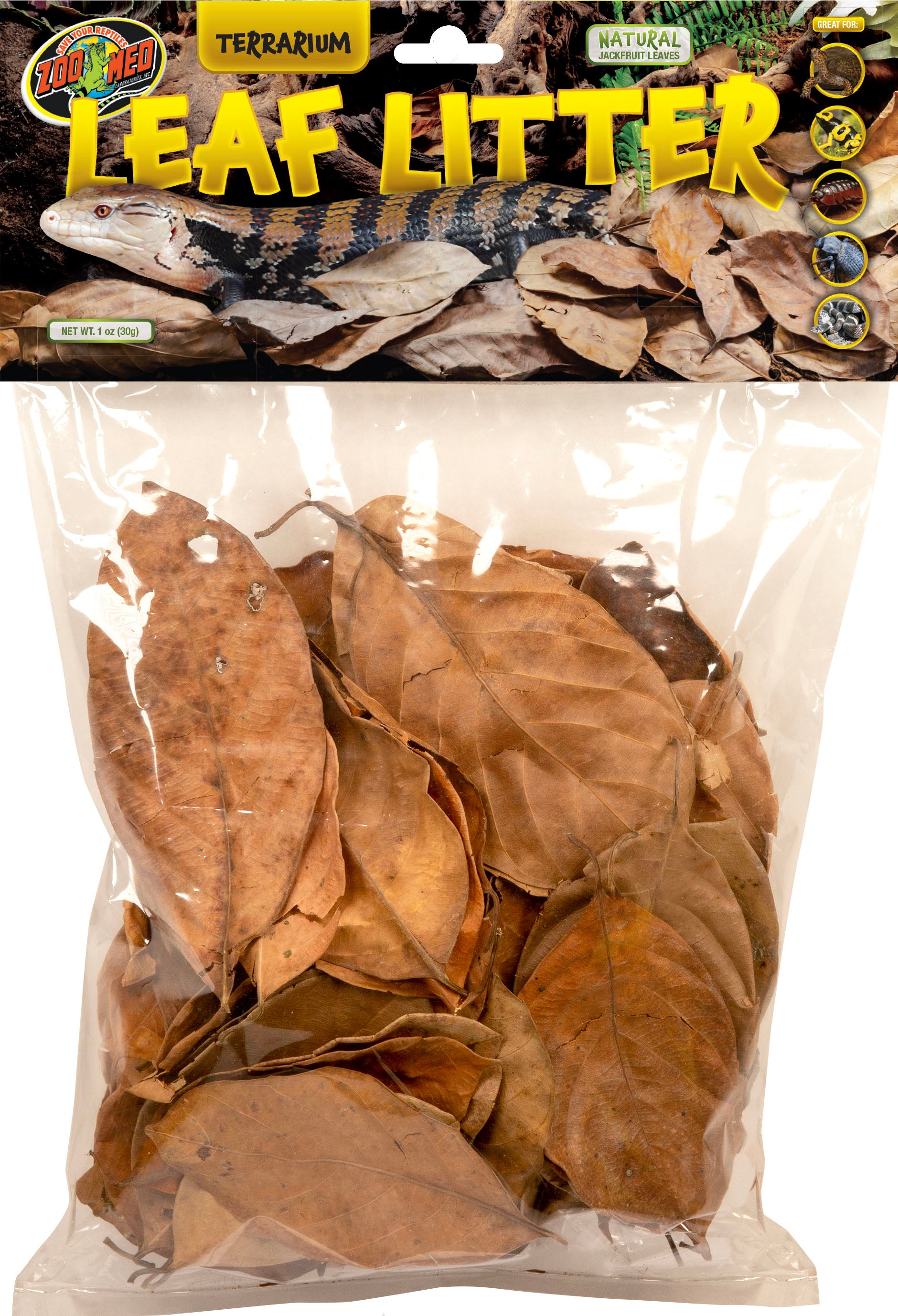 Terrarium Leaf Litter