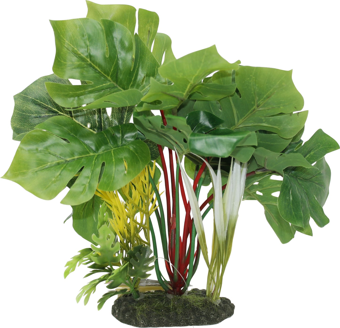 Color Burst Florals Split Green Leaf Philodendron