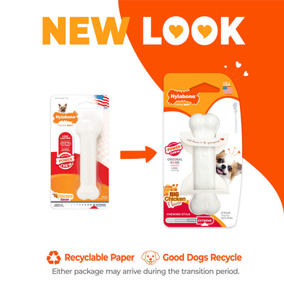 Nylabone Power Chew Bone