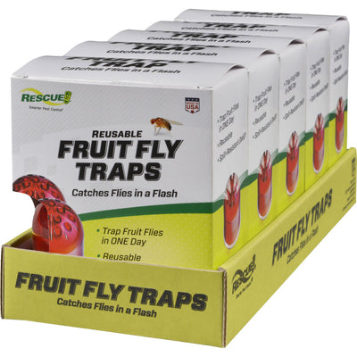 Rescue Reusable Fruit Fly Traps Shelf Pack