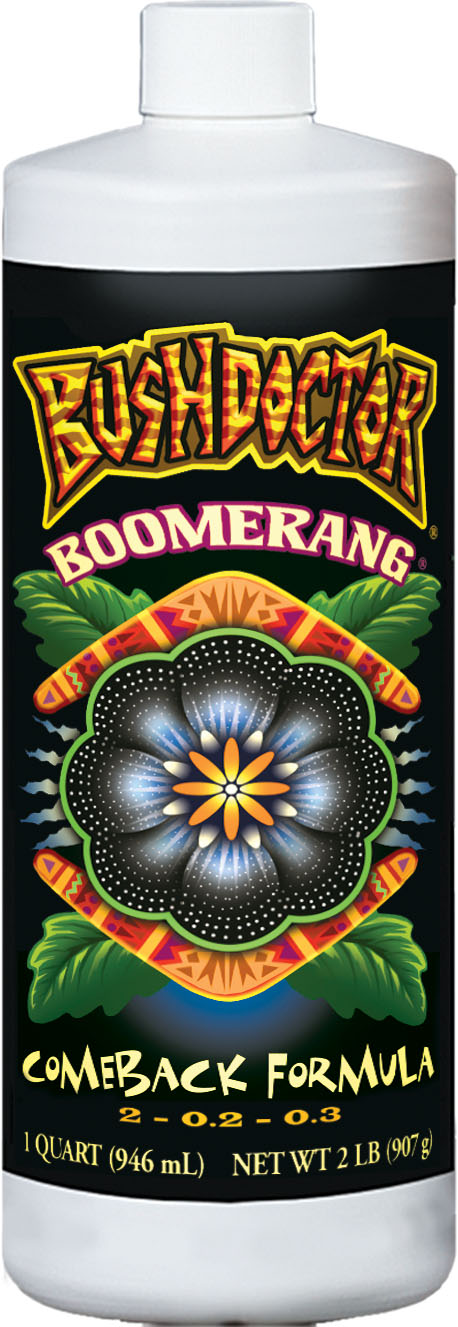 Bush Doctor Boomerang