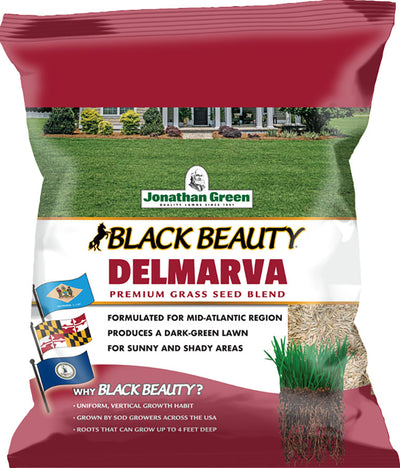 Black Beauty Delmarva Grass Seed Mixture