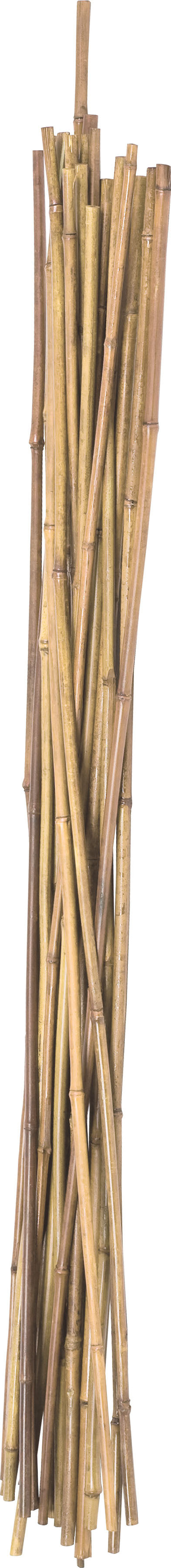 Natural Packaged Bamboo Stakes