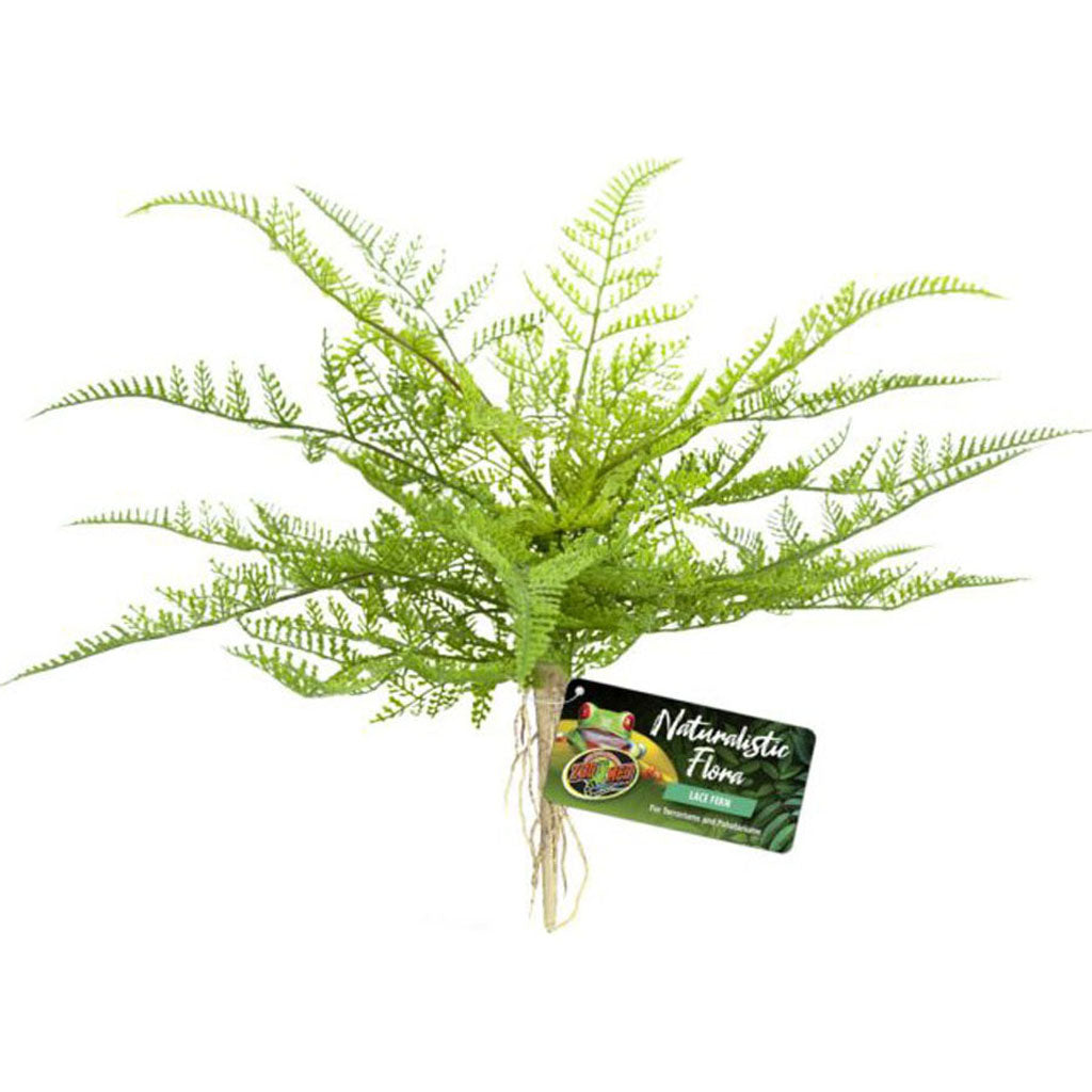 Naturalistic Flora Lace Fern