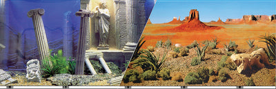 Double-Sided Underwater Atlantis/Desert Background
