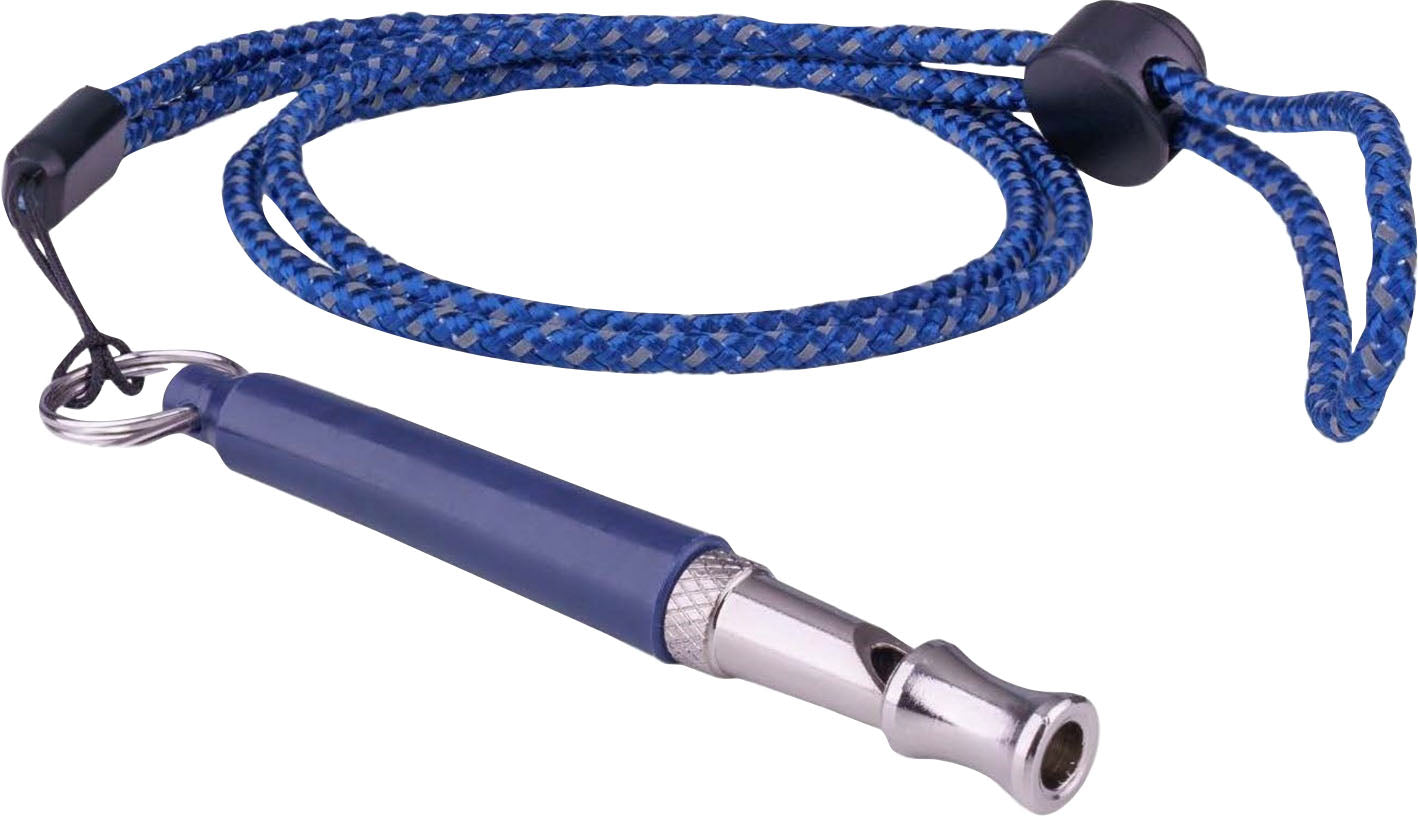 Coachi Professional Whistle