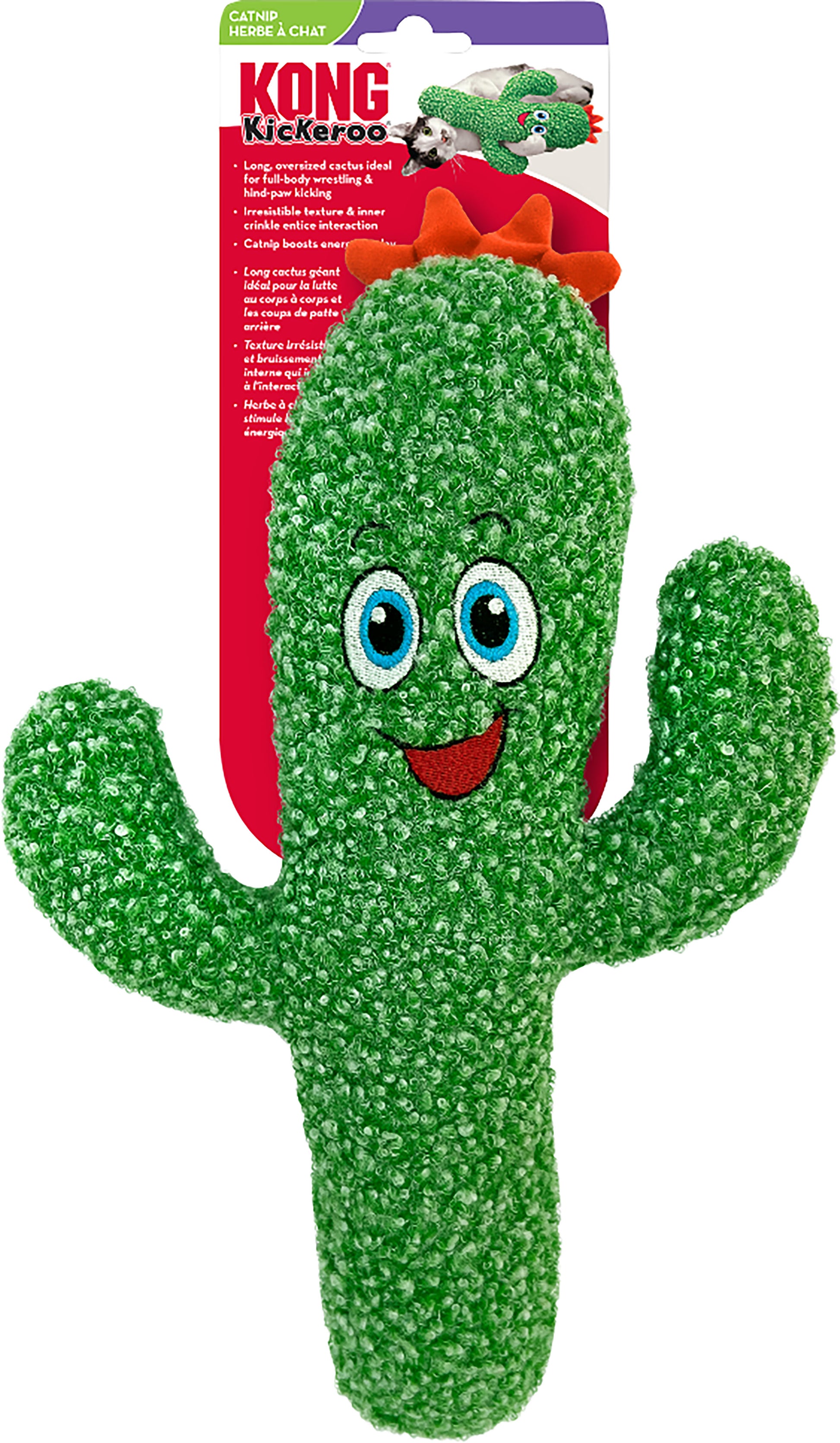 Kong Kickeroo Cactus
