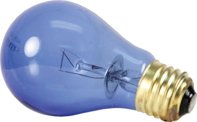 Hermit Headquarters Hermit Crab Daylight Bulb