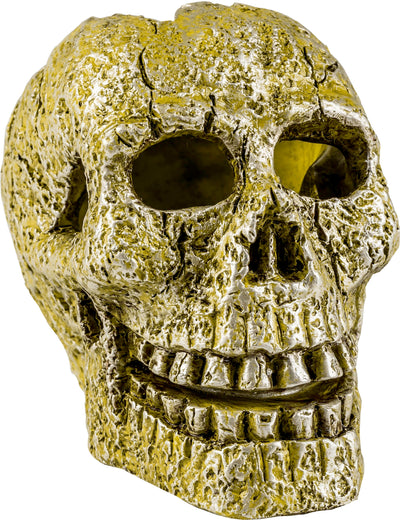 Glofish Aquarium Ornament Skull