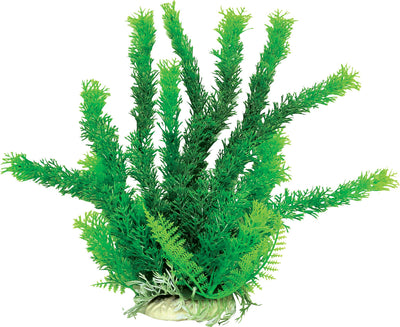 Cabomba-Like Weighted Aquarium Plant