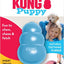 Kong Puppy