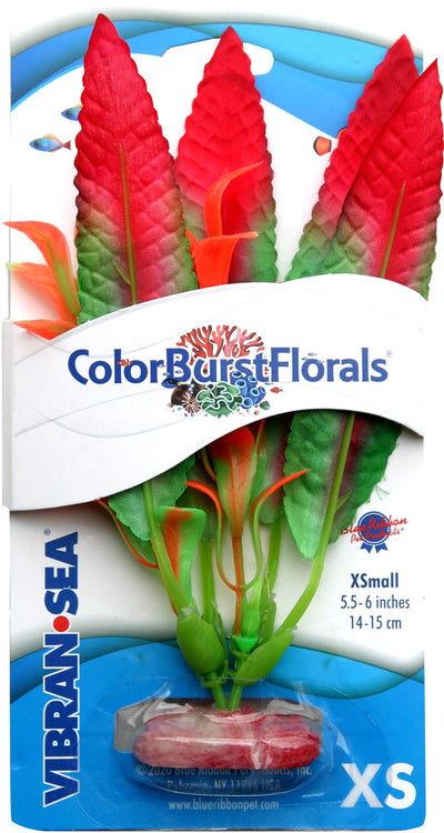 Color Burst Florals Crispus Silk Style Plant