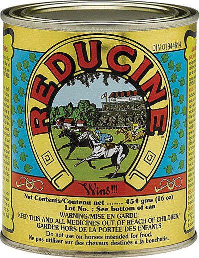 Reducine Absorbent Equine Liniment