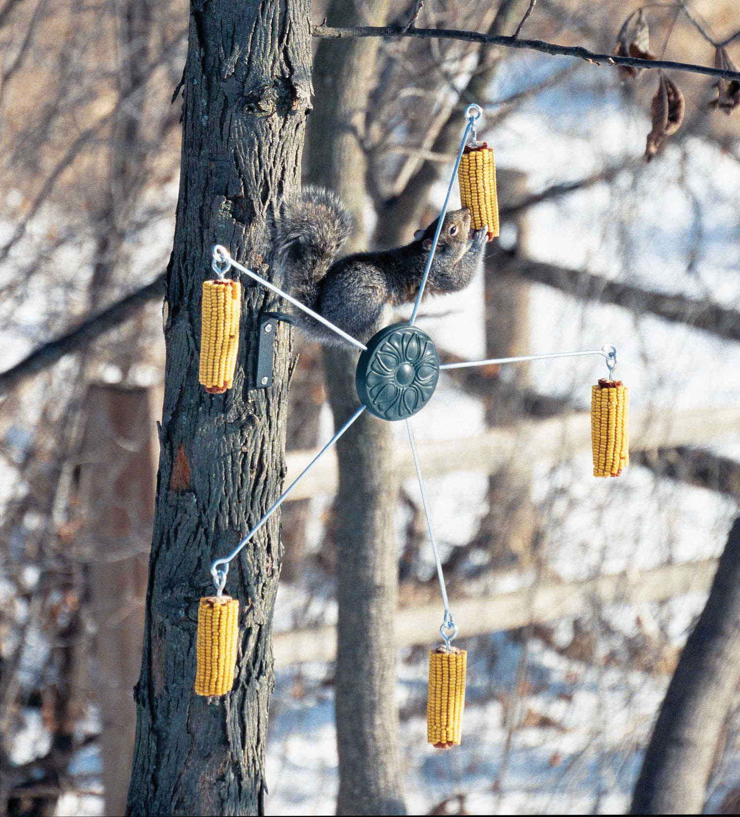 Squirrel-Go-Round Cob Corn Feeder