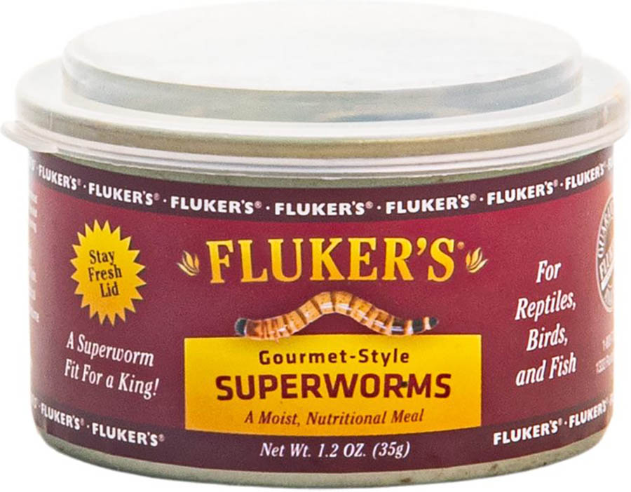 Gourmet Canned Superworms