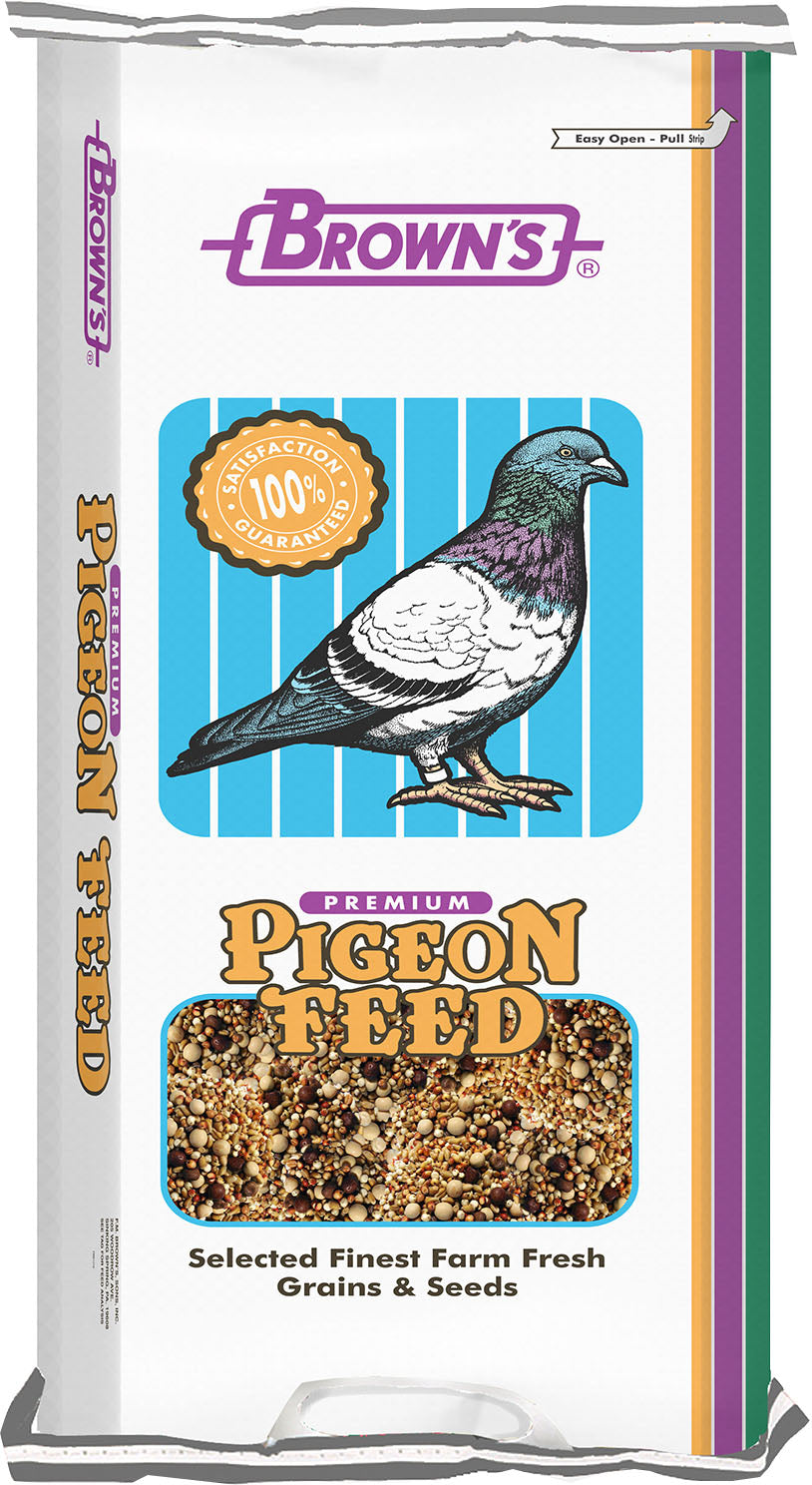 Breeder Kafir Pigeon Food