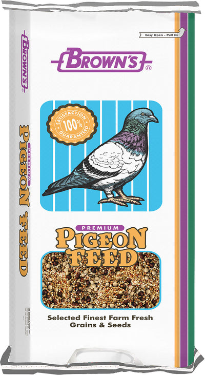 Breeder Kafir Pigeon Food