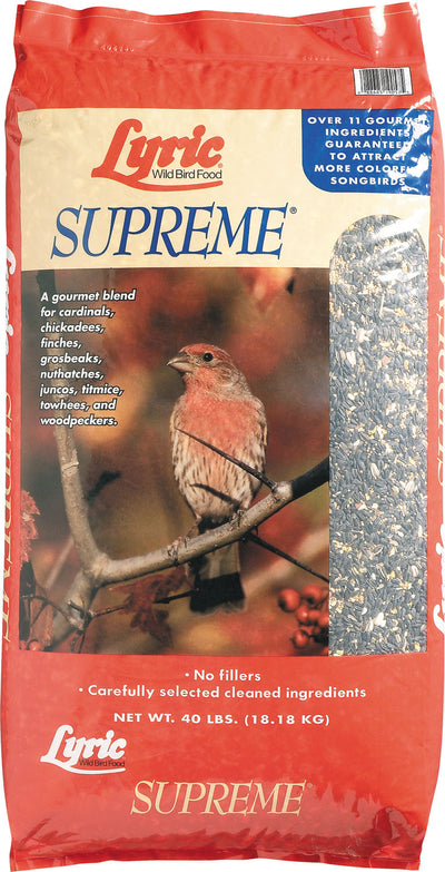 Lyric Supreme Wild Bird Mix