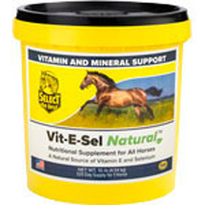 Vit-E-Sel Natural Vitamin & Mineral Supplement