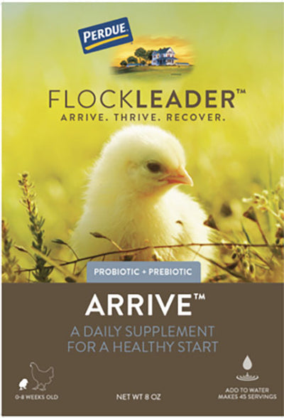 Perdue Flockleader Arrive Poultry Supplement